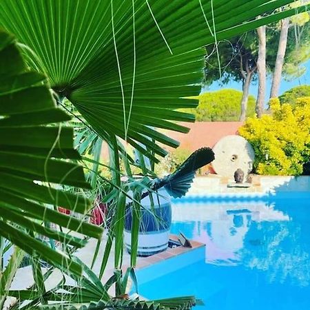 Hebergement Insolite Studio Grau Du Roi Mas Des Marines Piscine Le Grau-du-Roi Exteriör bild